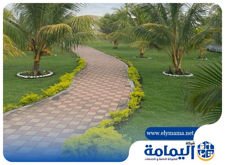 تصميم حدائق في العين