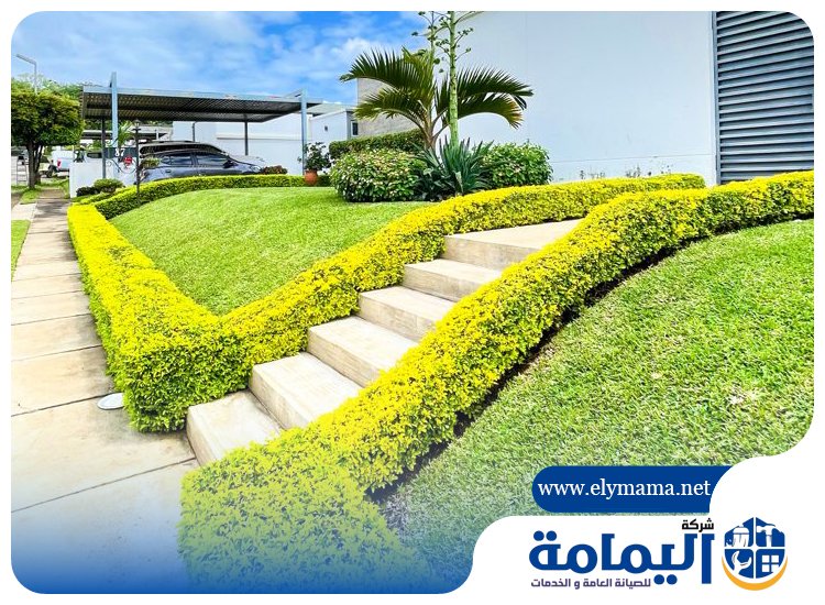 تصميم حدائق في راس الخيمة