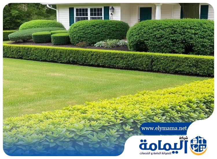 تصميم حدائق في العين