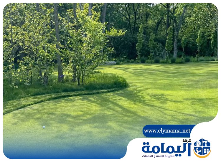 تصميم حدائق في العين