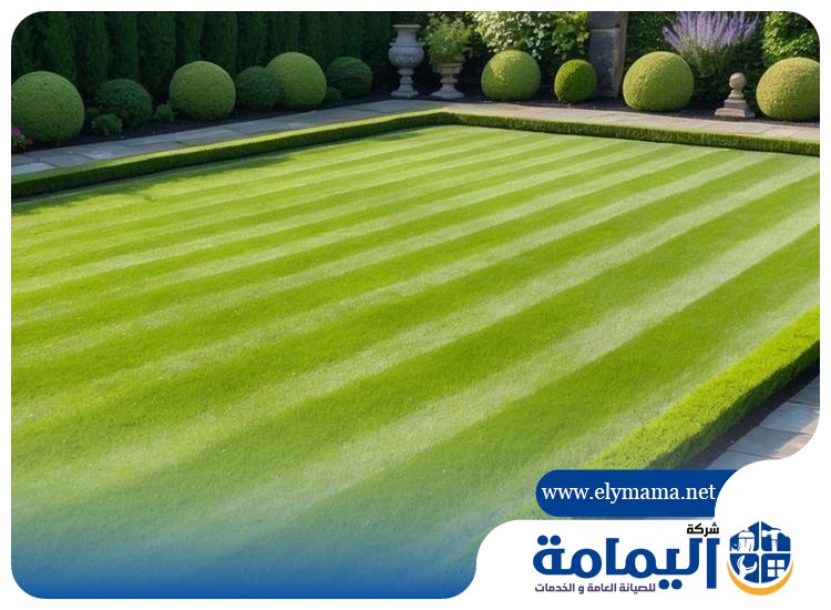تصميم حدائق في ابوظبي
