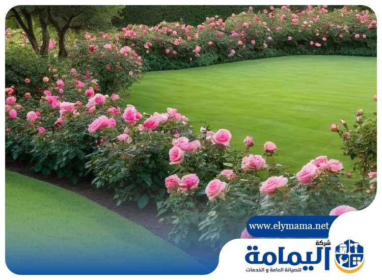 تصميم حدائق في عجمان