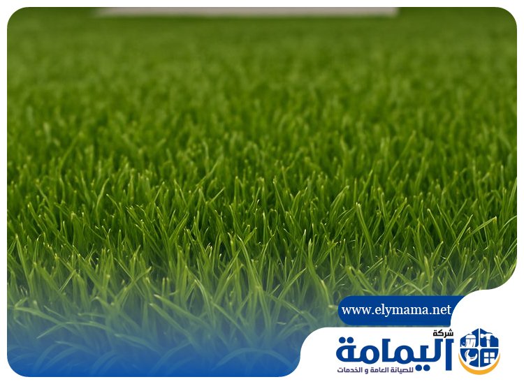 تركيب عشب في العين
