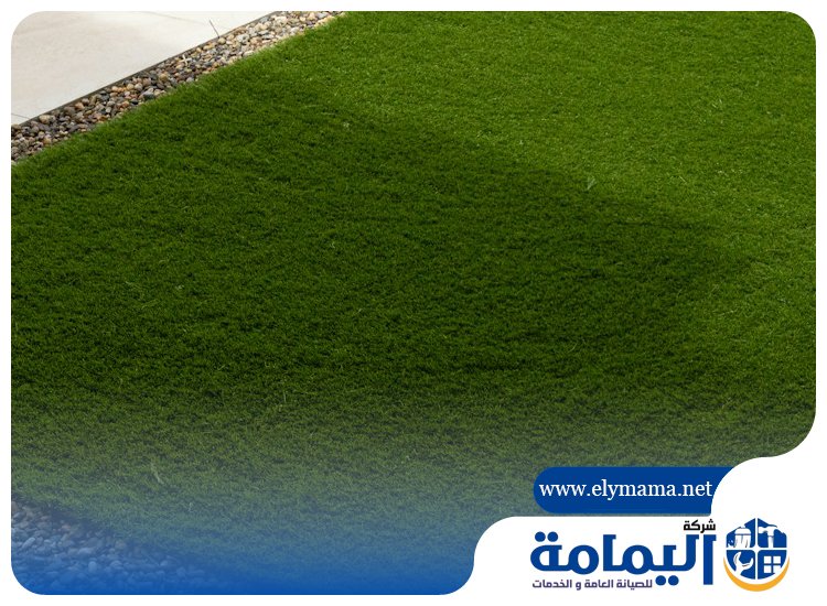 تركيب عشب صناعي في العين