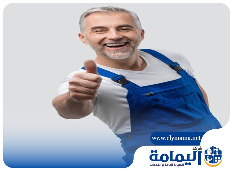 صباغ في دبي